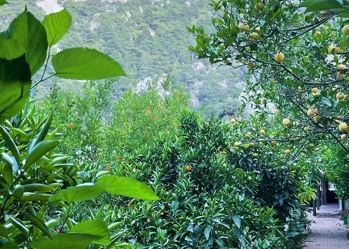 Varuna Pensjonat Olympos