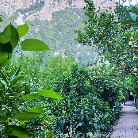 Varuna & Restaurant Guest house Olympos