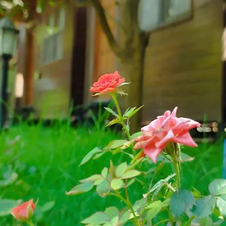 Varuna 게스트하우스