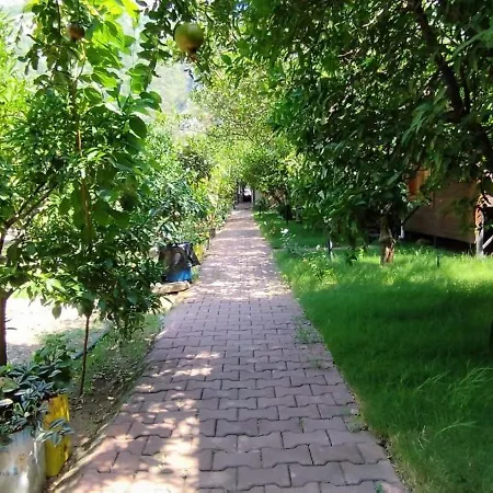 게스트하우스 Varuna 3*