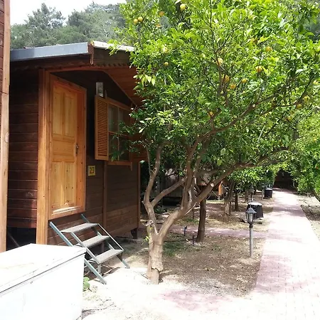 Varuna & Restaurant