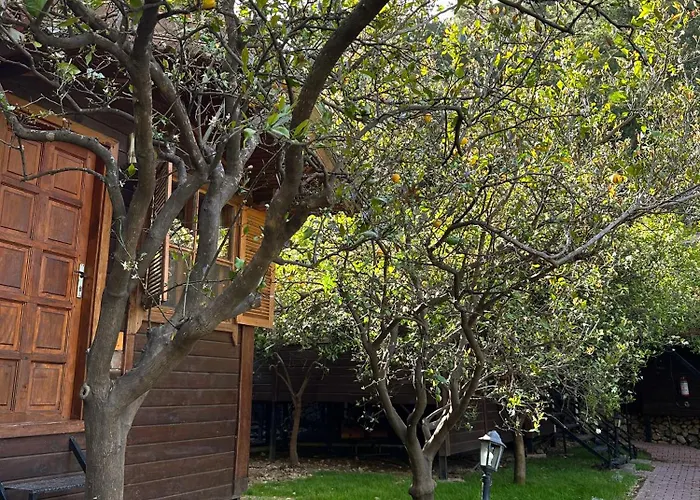 Varuna Casa de hóspedes Olympos