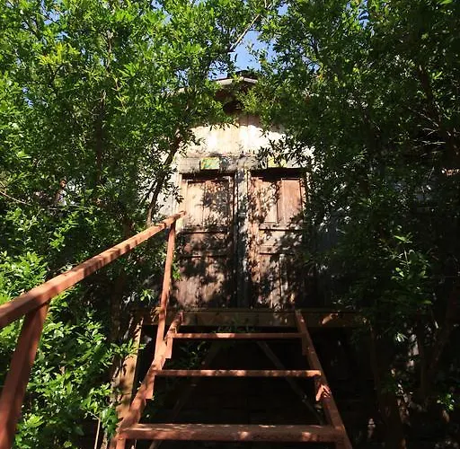 Casa de hóspedes Varuna 3*